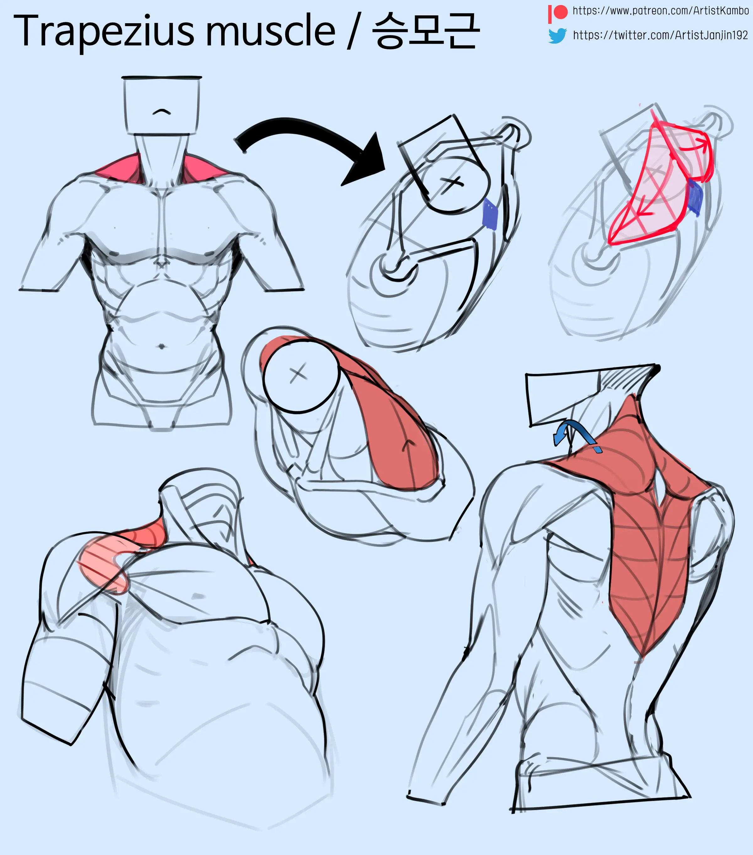 Tips For Drawing